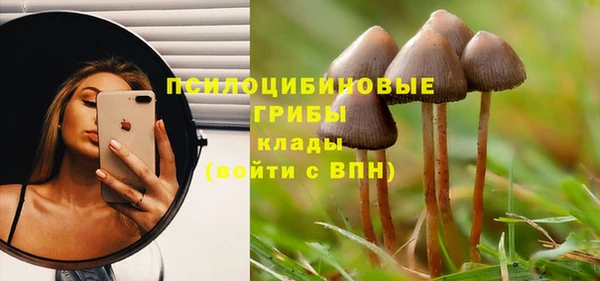 твердый Абаза