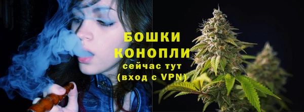 твердый Абаза