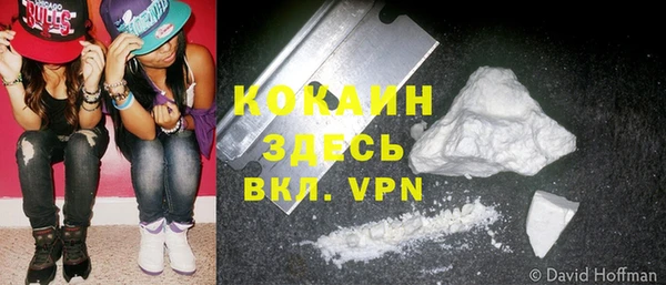 ГАЛЛЮЦИНОГЕННЫЕ ГРИБЫ Пересвет