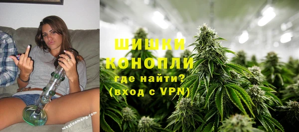 ГАЛЛЮЦИНОГЕННЫЕ ГРИБЫ Пересвет