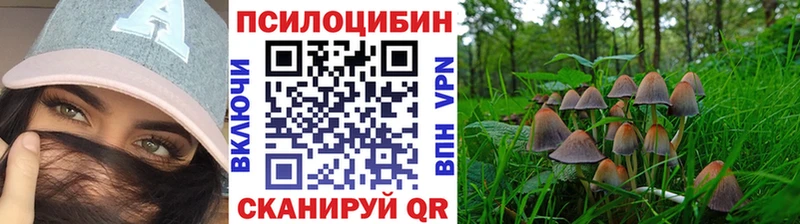 где купить наркоту  Тбилисская  Галлюциногенные грибы Psilocybine cubensis 